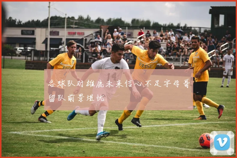各球队对雄鹿未来信心不足字母哥留队前景堪忧