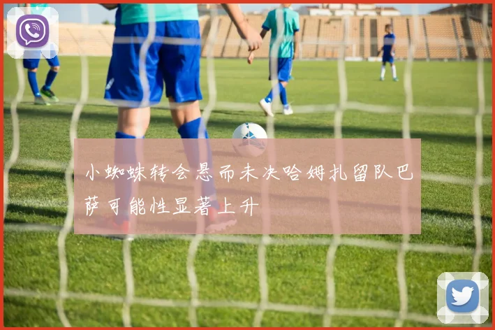 小蜘蛛转会悬而未决哈姆扎留队巴萨可能性显著上升
