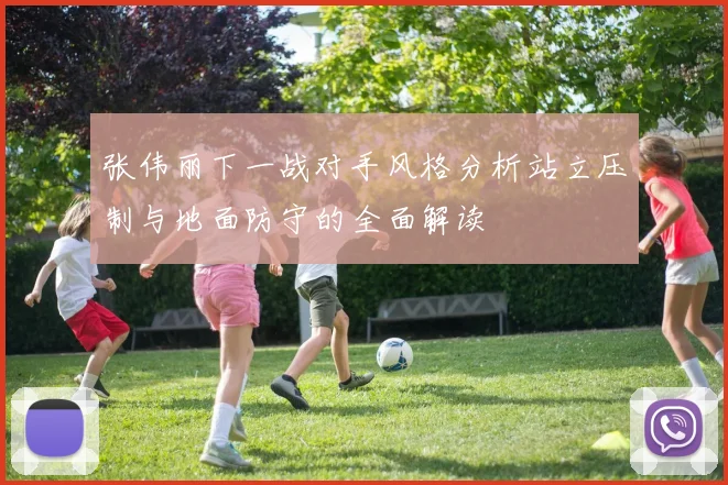 张伟丽下一战对手风格分析站立压制与地面防守的全面解读