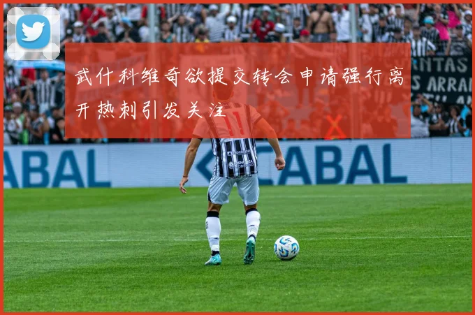 武什科维奇欲提交转会申请强行离开热刺引发关注